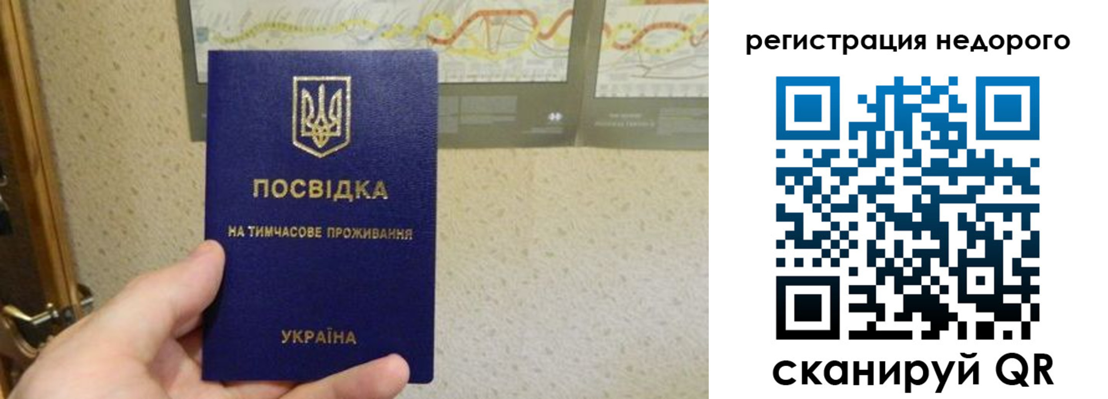 прописка для работы в Светогорске